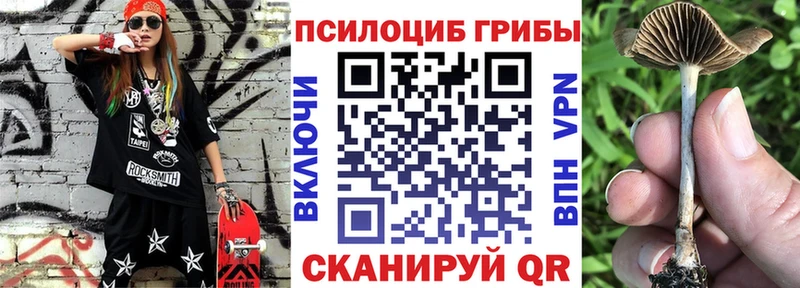 гидра как войти  Иноземцево  Галлюциногенные грибы GOLDEN TEACHER 