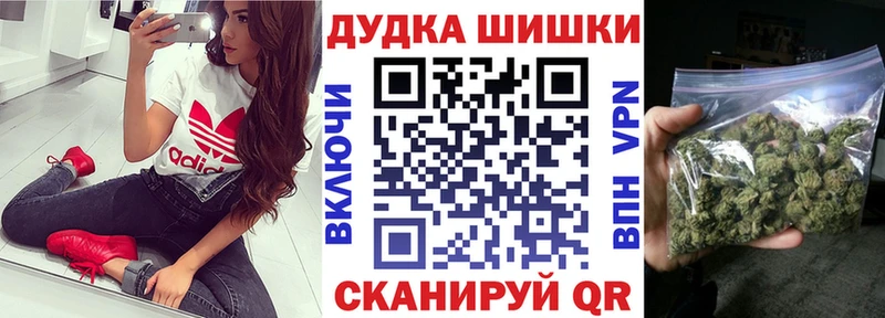 Шишки марихуана план как найти наркотики Иноземцево